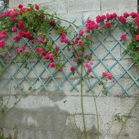 Ticci Farm stay Seulo