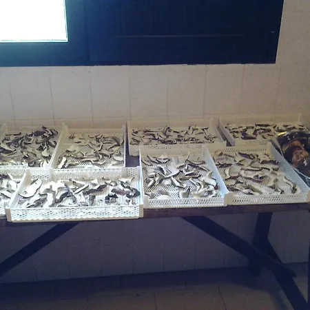 Ticci Κατάλυμα σε φάρμα Seùlo