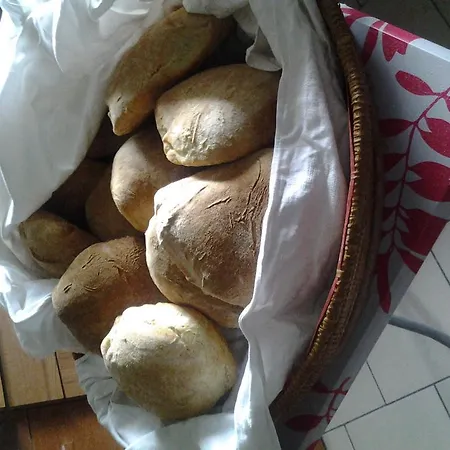 Ticci Κατάλυμα σε φάρμα *