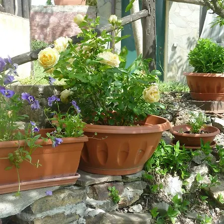 Alloggio per agriturismo Ticci Seùlo