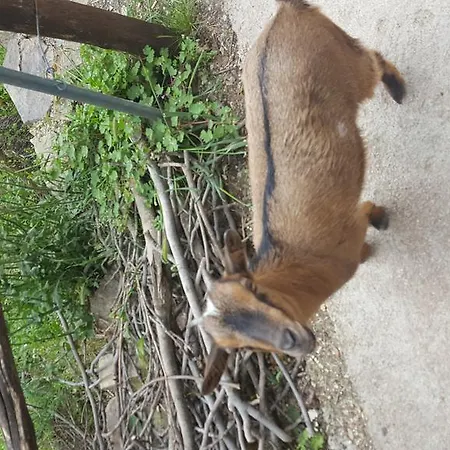 Séjour à la ferme Ticci