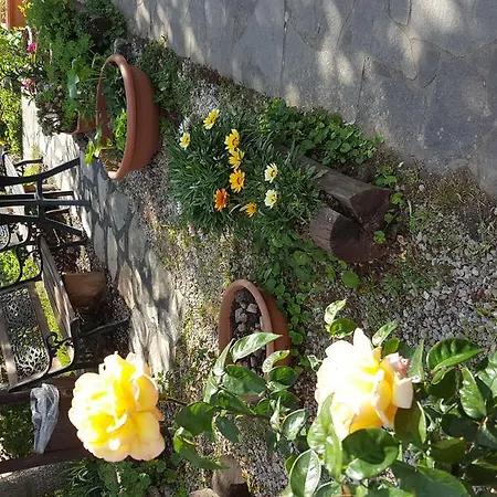 Alloggio per agriturismo Ticci