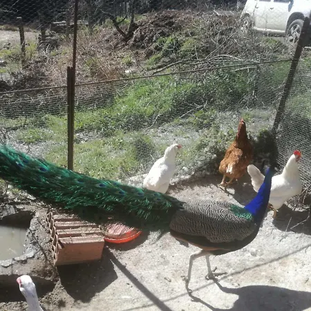 Séjour à la ferme Ticci *